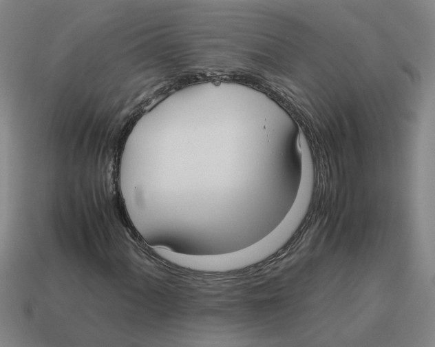 X0000114191060200911061358