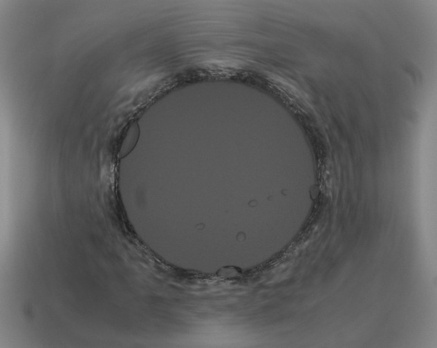 X0000114191061200911061358