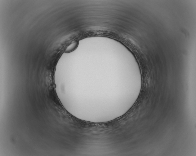 X0000114191062200911061358