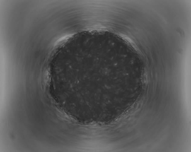 X0000114191063200911061358