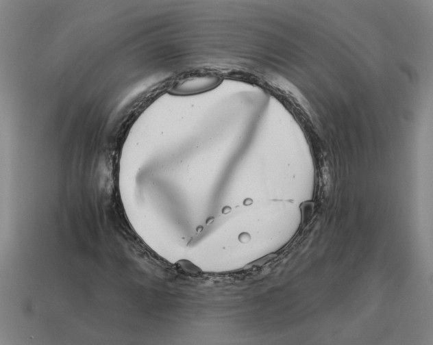 X0000114191064200911061358