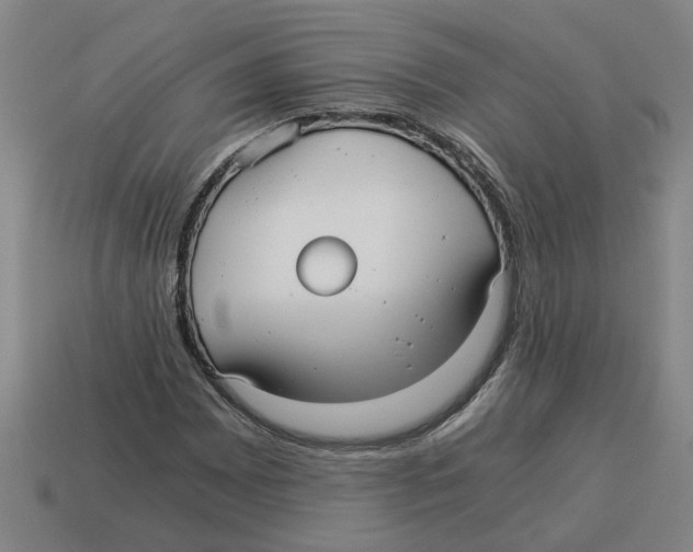 X0000114191065200911061358