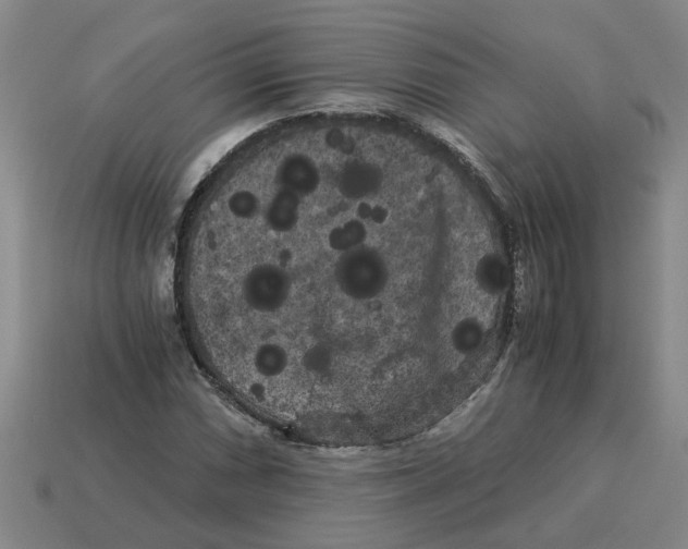 X0000114191066200911061358