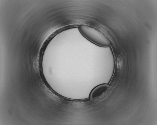 X0000114191068200911061358