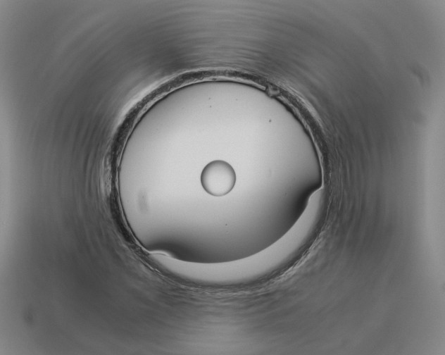 X0000114191069200911061358