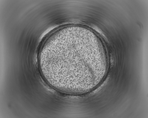 X0000114191070200911061358