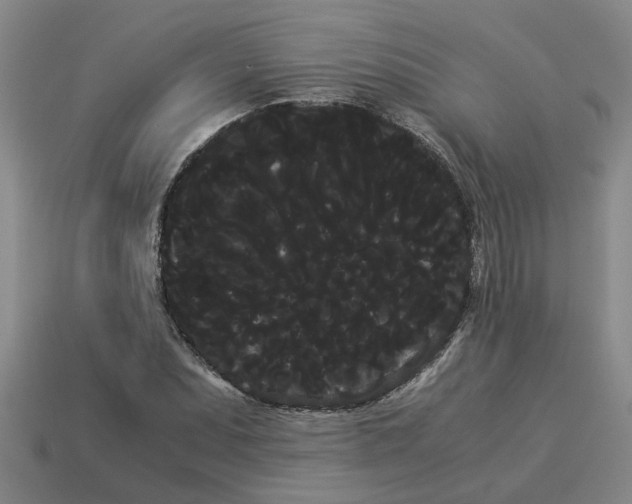 X0000114191071200911061358