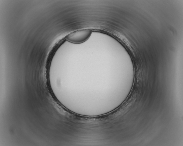 X0000114191072200911061358