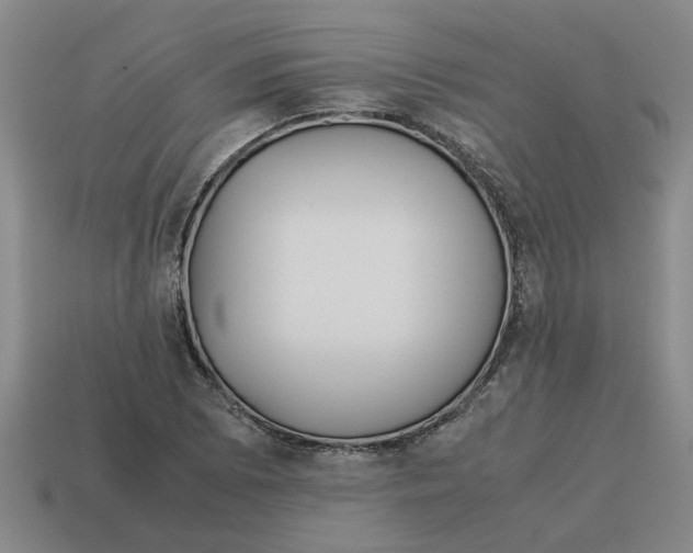 X0000114191073200911061358