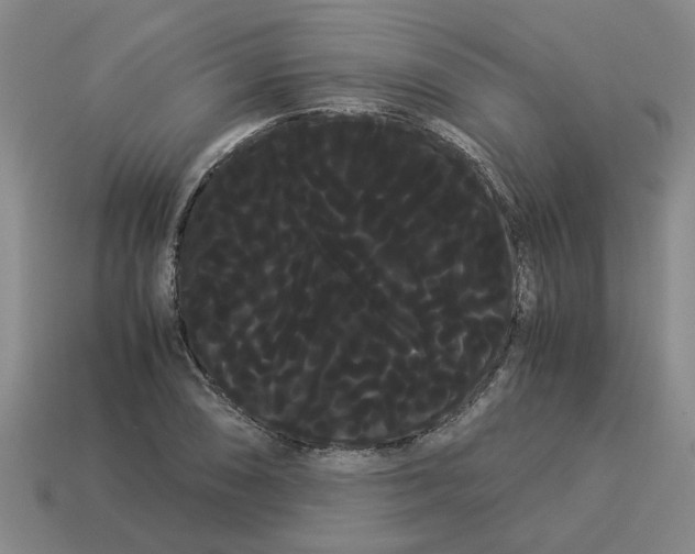 X0000114191074200911061358