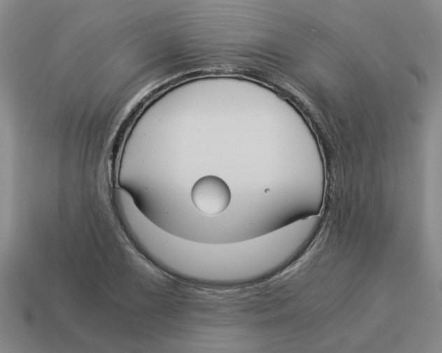 X0000114191075200911061358