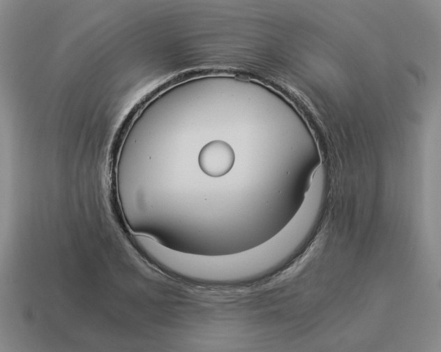 X0000114191077200911061358