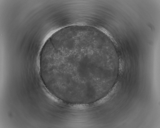 X0000114191078200911061358