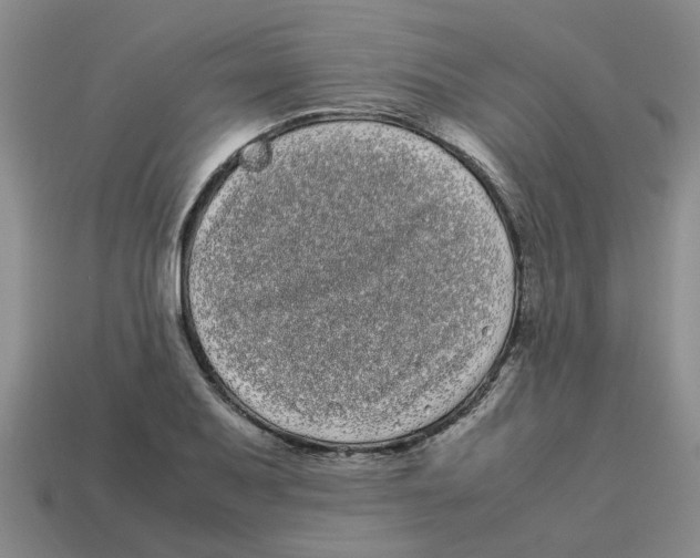 X0000114191079200911061358