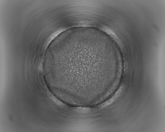 X0000114191081200911061358