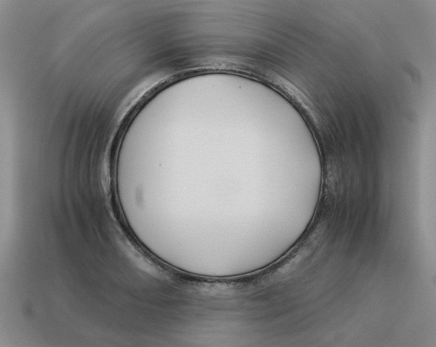 X0000114191082200911061358