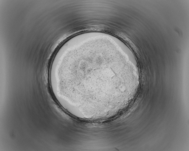 X0000114191083200911061358