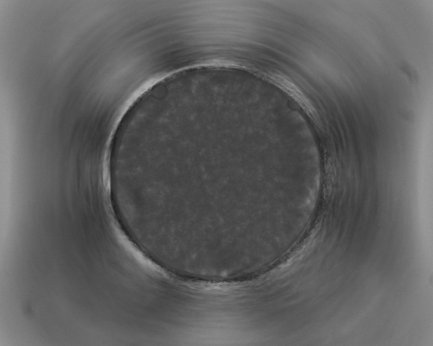 X0000114191084200911061358