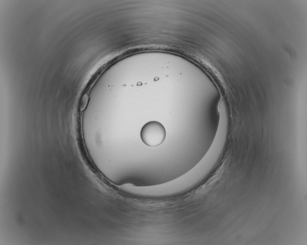 X0000114191085200911061357