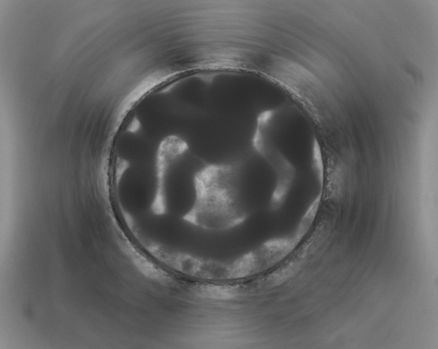 X0000114191086200911061357