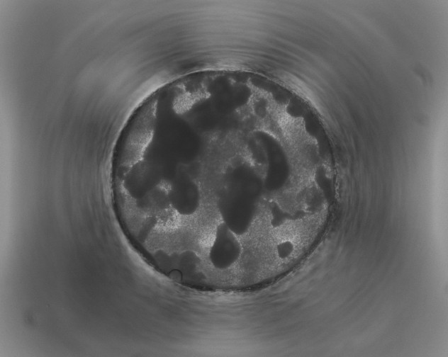 X0000114191087200911061357