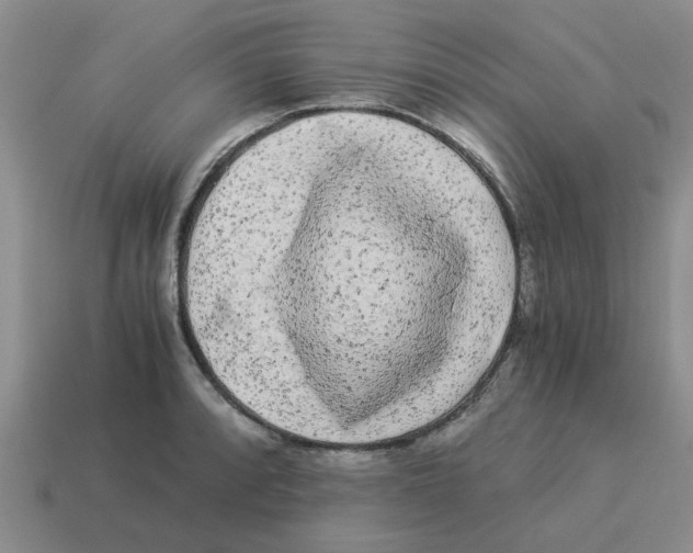 X0000114191088200911061357