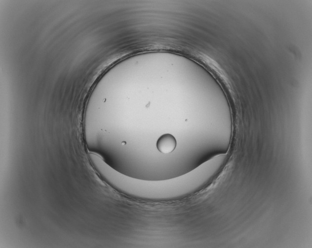 X0000114191089200911061357