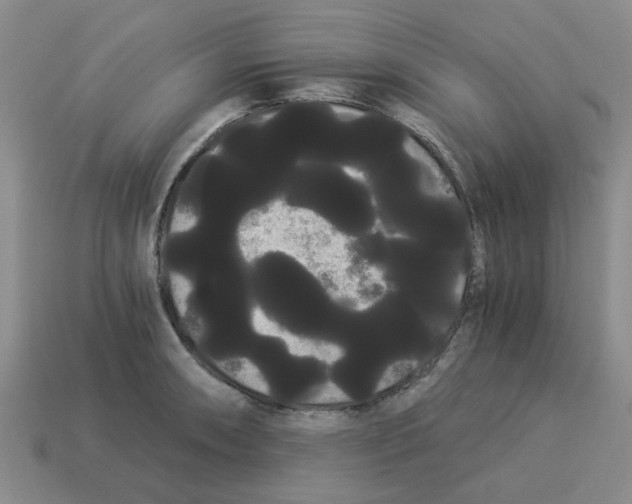 X0000114191090200911061357