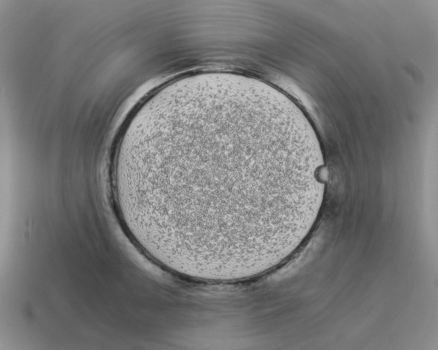 X0000114191091200911061357