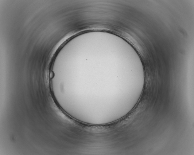 X0000114191092200911061357