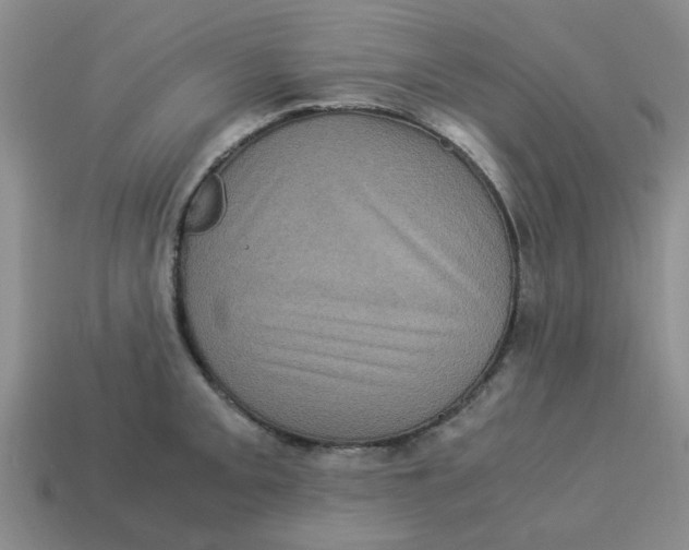 X0000114191093200911061357