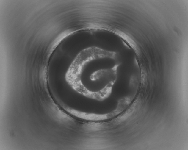 X0000114191094200911061357