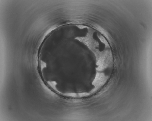 X0000114191095200911061357