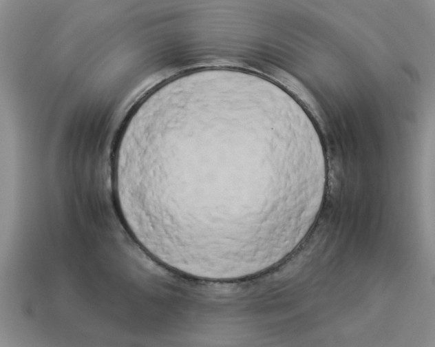 X0000114191096200911061357