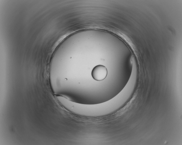 X0000114191097200911061357