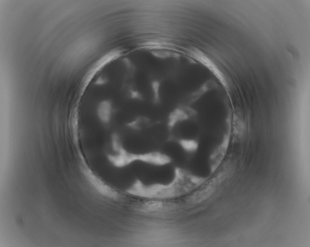 X0000114191098200911061357