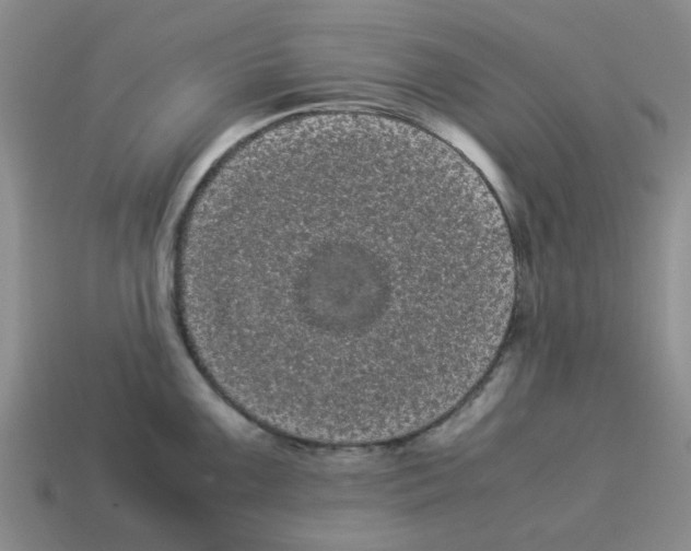 X0000114191099200911061357