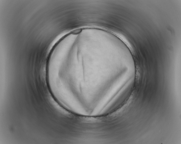 X0000114191100200911061357