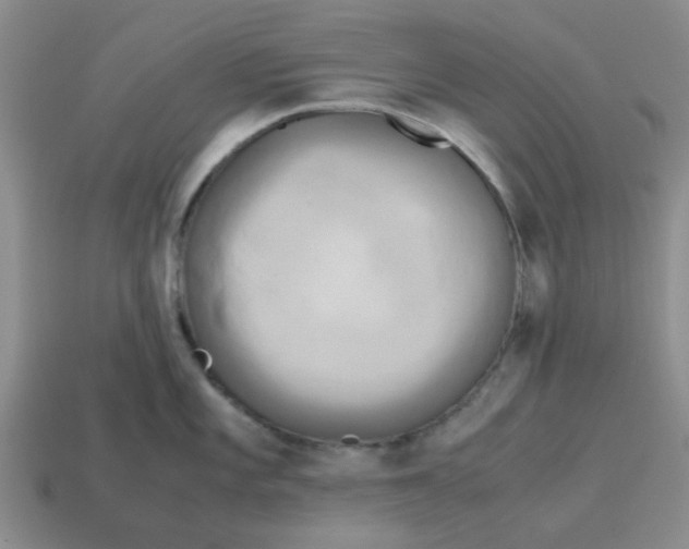 X0000114191101200911061357