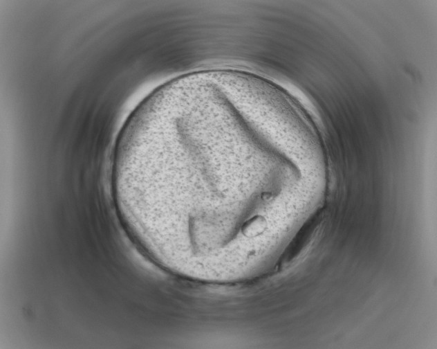 X0000114191102200911061357