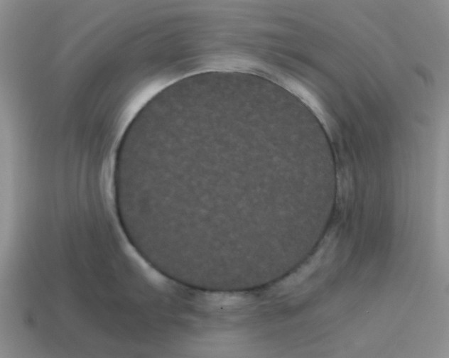 X0000114191103200911061357