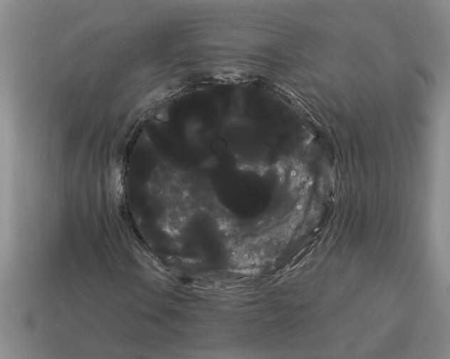 X0000114191106200911061357