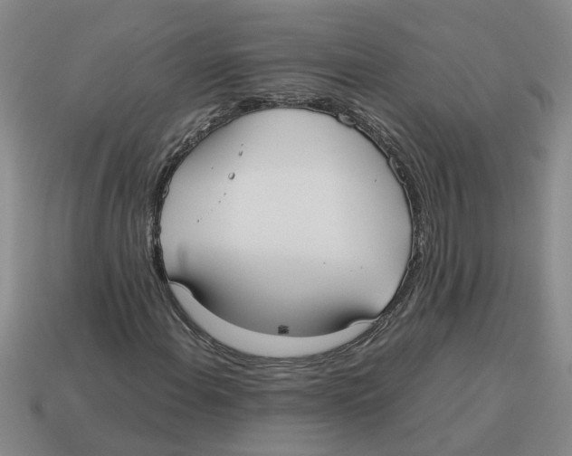 X0000114191108200911061357