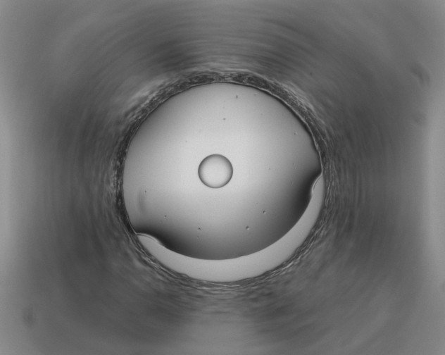 X0000114191110200911061357