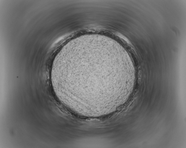 X0000114191112200911061357