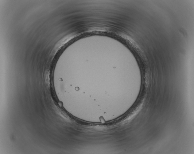 X0000114191113200911061357