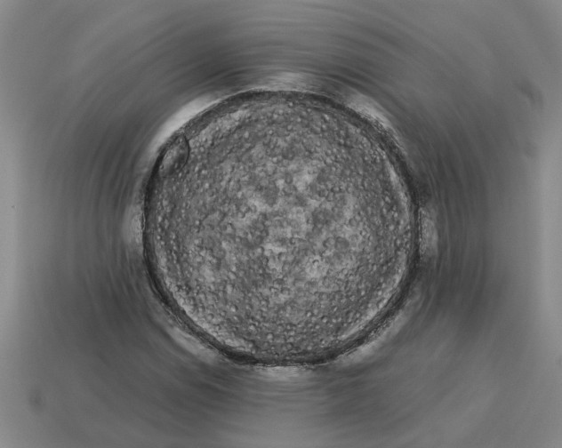 X0000114191114200911061357