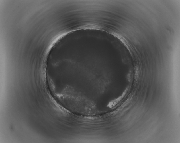 X0000114191115200911061357