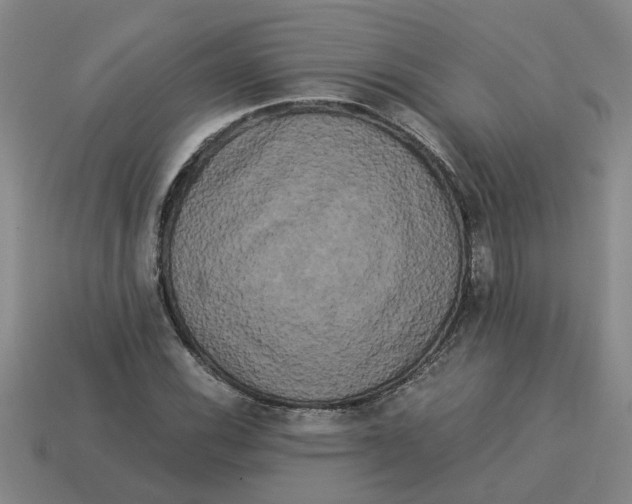 X0000114191116200911061357