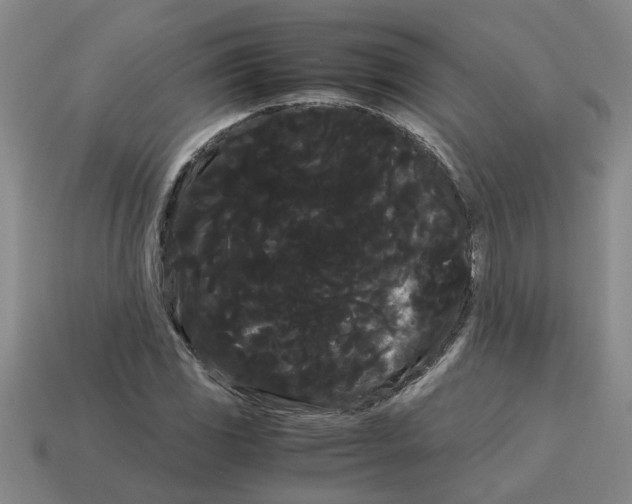 X0000114191117200911061357